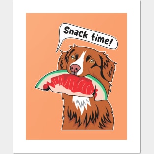 Toller Eating A Watermelon Posters and Art